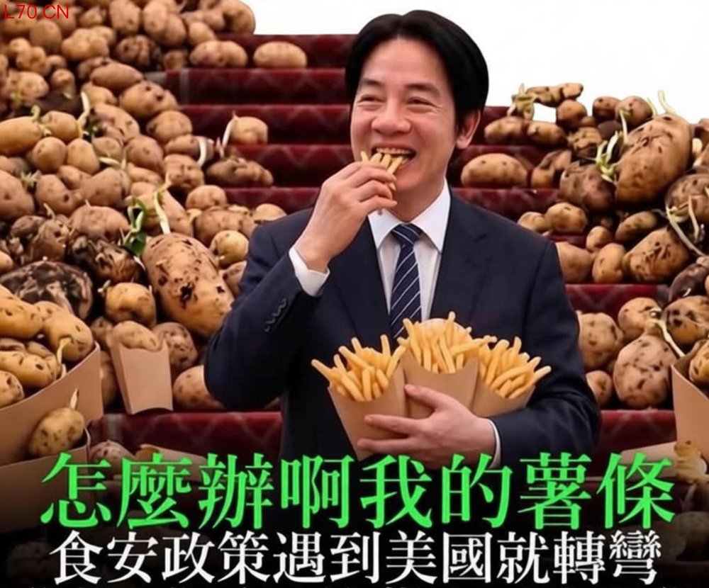 图注：台网友制作梗图，辛辣讽刺赖当局。