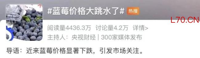 “贵族水果”价格大跳水
