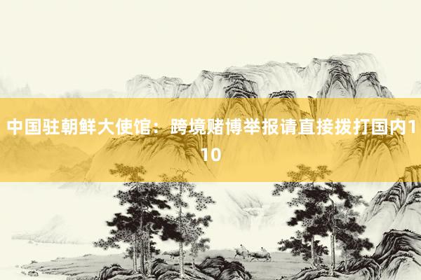 中国驻朝鲜大使馆:跨境赌博举报请直接拨打国内110