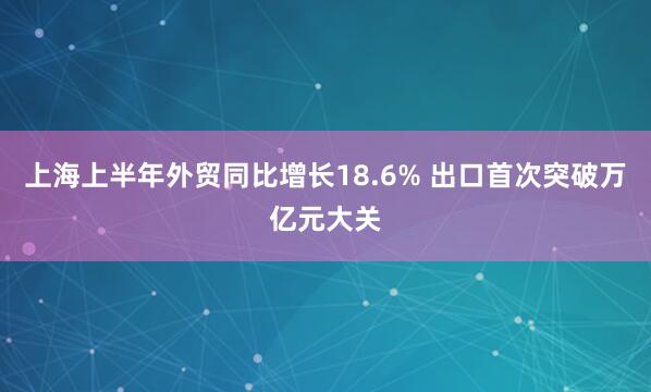 上海上半年外贸同比增长18.6% 出口首次突破万亿元大关