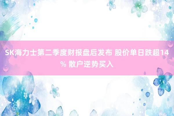 SK海力士第二季度财报盘后发布 股价单日跌超14% 散户逆势买入
