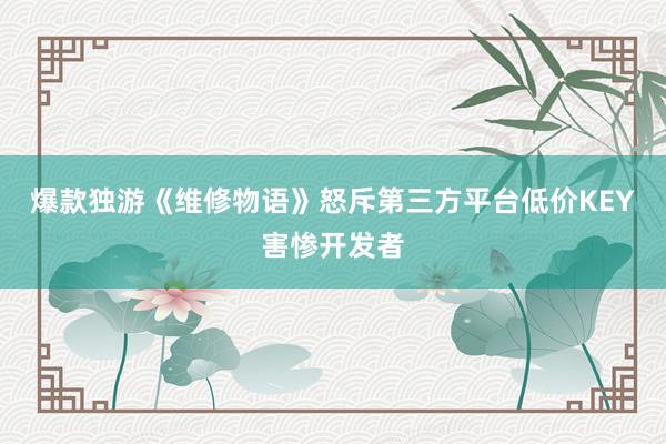 爆款独游《维修物语》怒斥第三方平台低价KEY害惨开发者