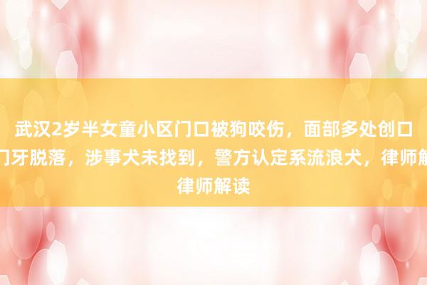 武汉2岁半女童小区门口被狗咬伤，面部多处创口，门牙脱落，涉事犬未找到，警方认定系流浪犬，律师解读