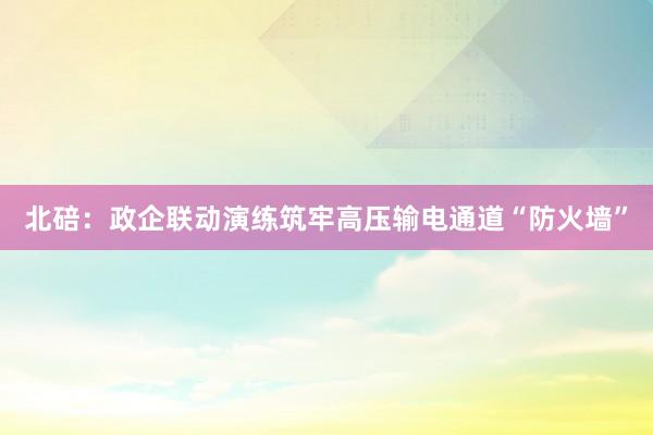 北碚：政企联动演练筑牢高压输电通道“防火墙”