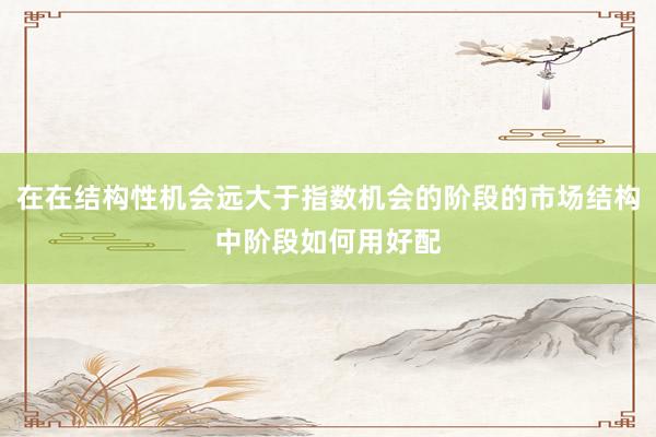 在在结构性机会远大于指数机会的阶段的市场结构中阶段如何用好配