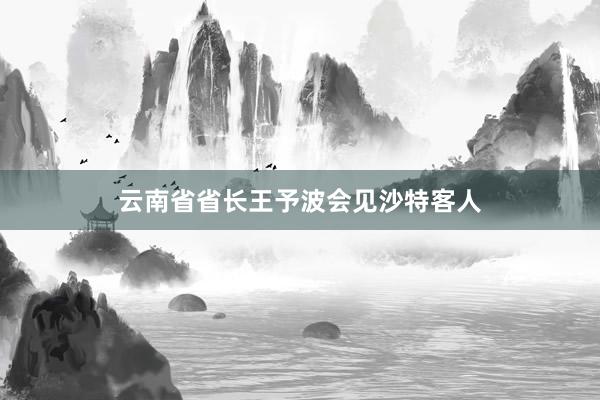 云南省省长王予波会见沙特客人