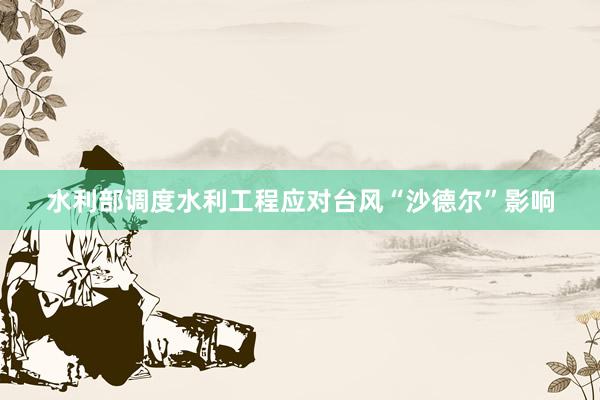 水利部调度水利工程应对台风“沙德尔”影响