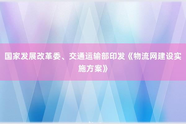 国家发展改革委、交通运输部印发《物流网建设实施方案》