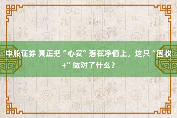 中股证券 真正把“心安”落在净值上，这只“固收+”做对了什么？