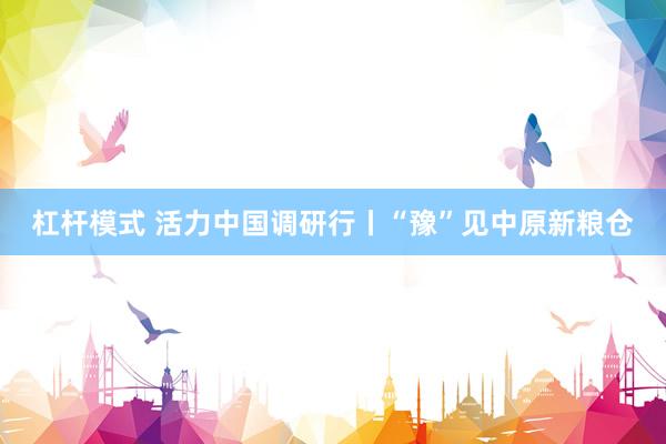 杠杆模式 活力中国调研行丨“豫”见中原新粮仓