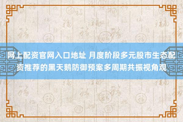 网上配资官网入口地址 月度阶段多元股市生态配资推荐的黑天鹅防御预案多周期共振视角观