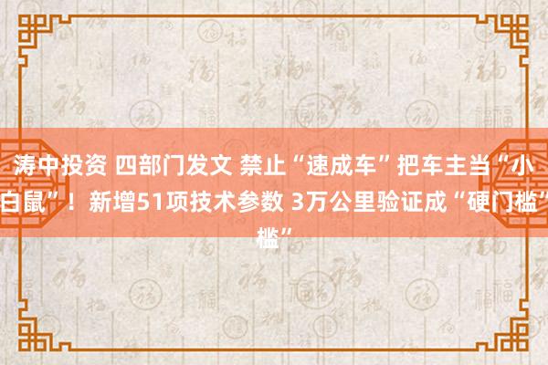 涛中投资 四部门发文 禁止“速成车”把车主当“小白鼠”！新增51项技术参数 3万公里验证成“硬门槛”