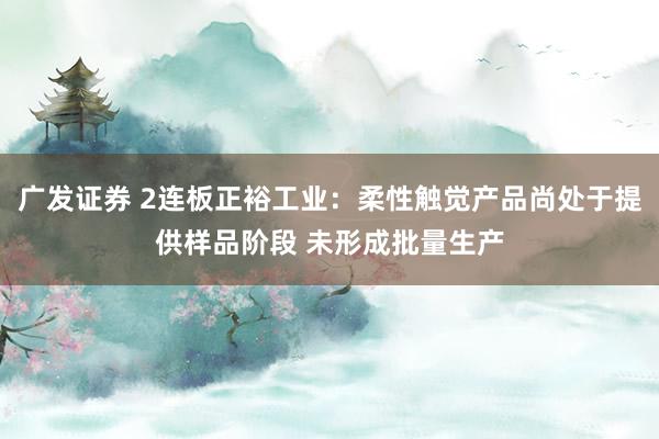 广发证券 2连板正裕工业：柔性触觉产品尚处于提供样品阶段 未形成批量生产