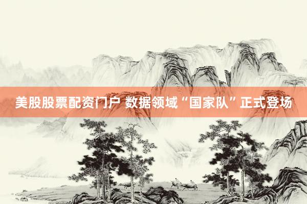 美股股票配资门户 数据领域“国家队”正式登场